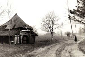 F01 Oude zaadberg - schuurtje bij boerderij De Weppel, 1963